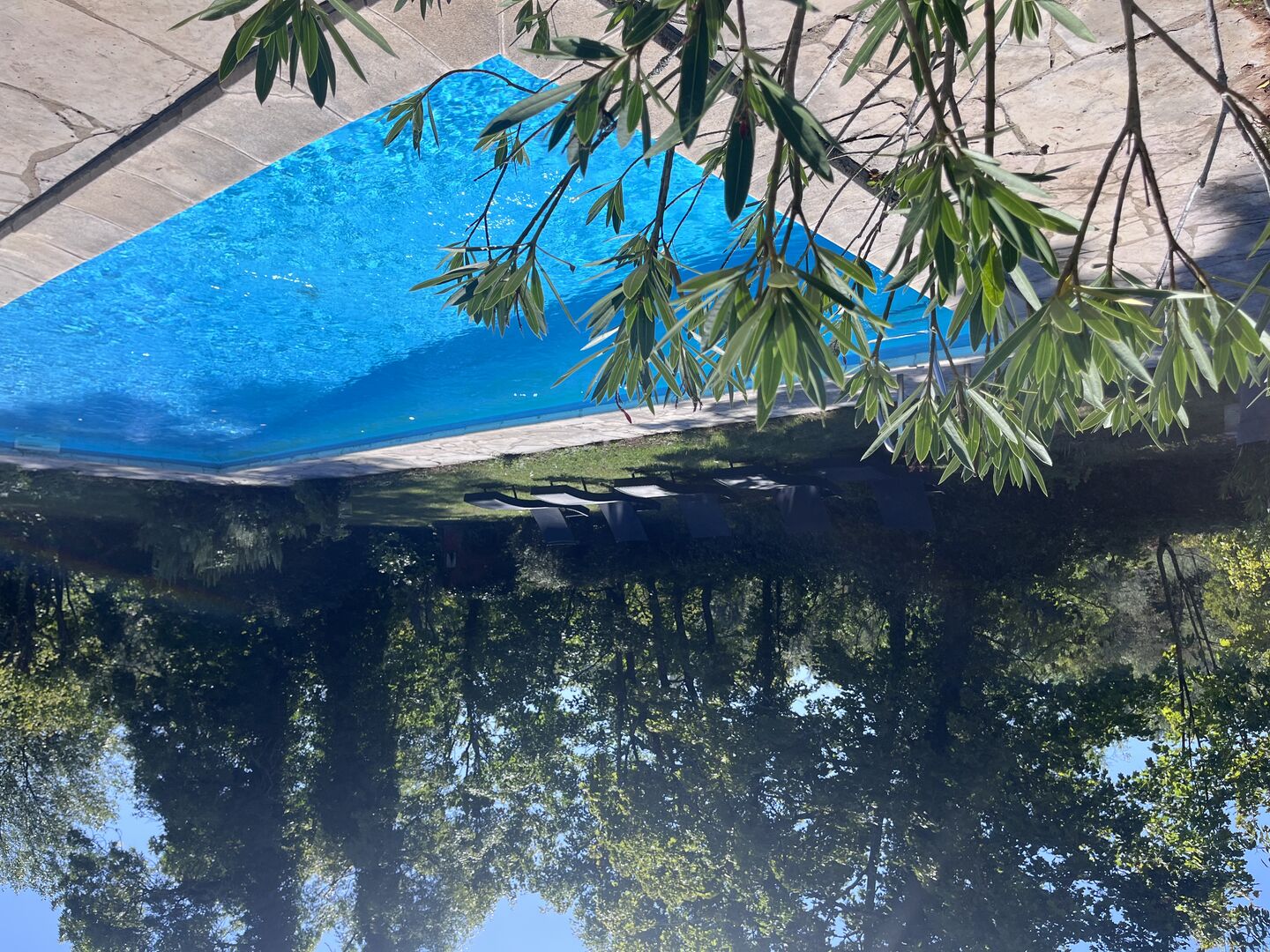 Image de l'actualité Clos des berges de l'Ain à 10 mn du PIPA