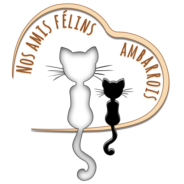 logo de l'organisation Association "Nos amis félins ambarrois"