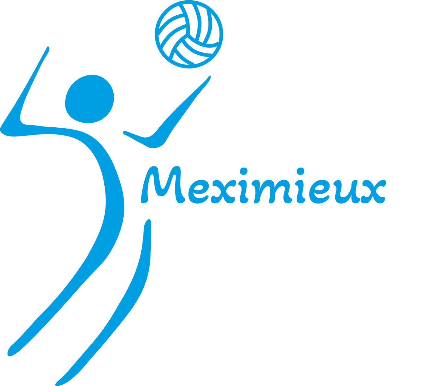 Logo de l'organisation Volley Club Meximieux
