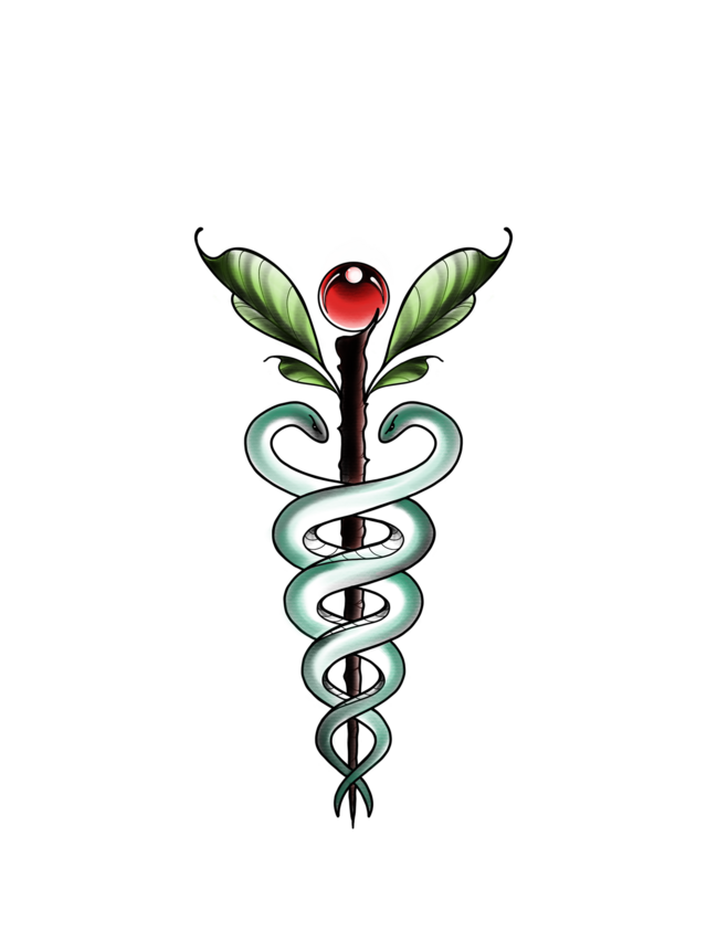 logo de l'organisation Atelier Herboristerie Familiale