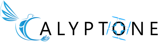 logo de l'organisation Calyptone / Calyptone events