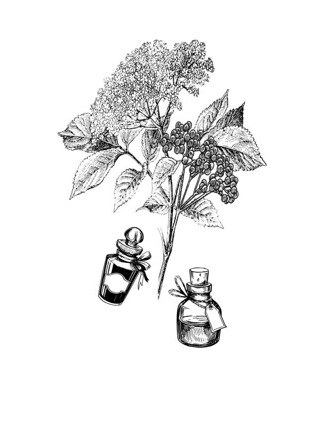 logo de l'organisation Potionnément