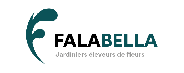 logo de l'organisation FALABELLA