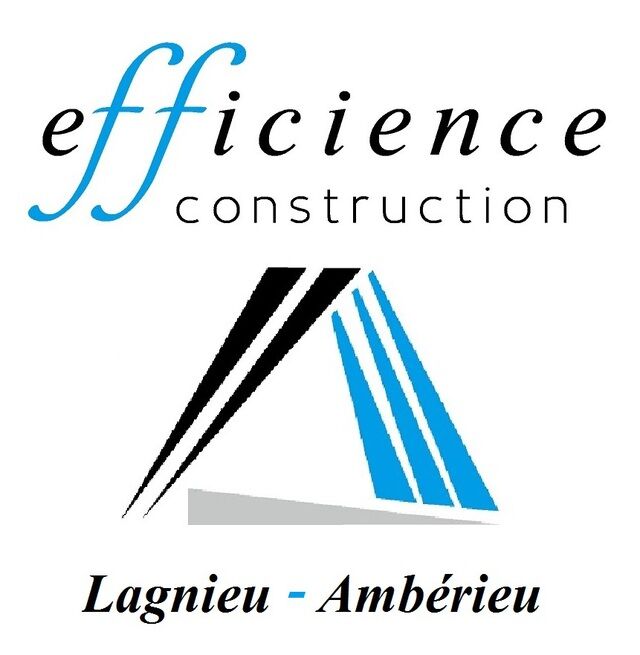 logo de l'organisation efficience construction
