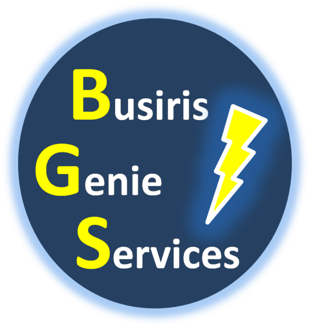 logo de l'organisation BUSIRIS GENIE SERVICES
