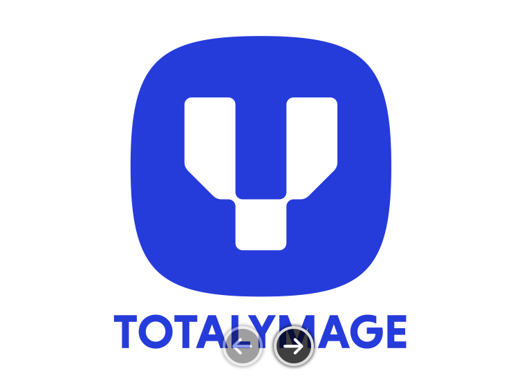 logo de l'organisation TotalYmage