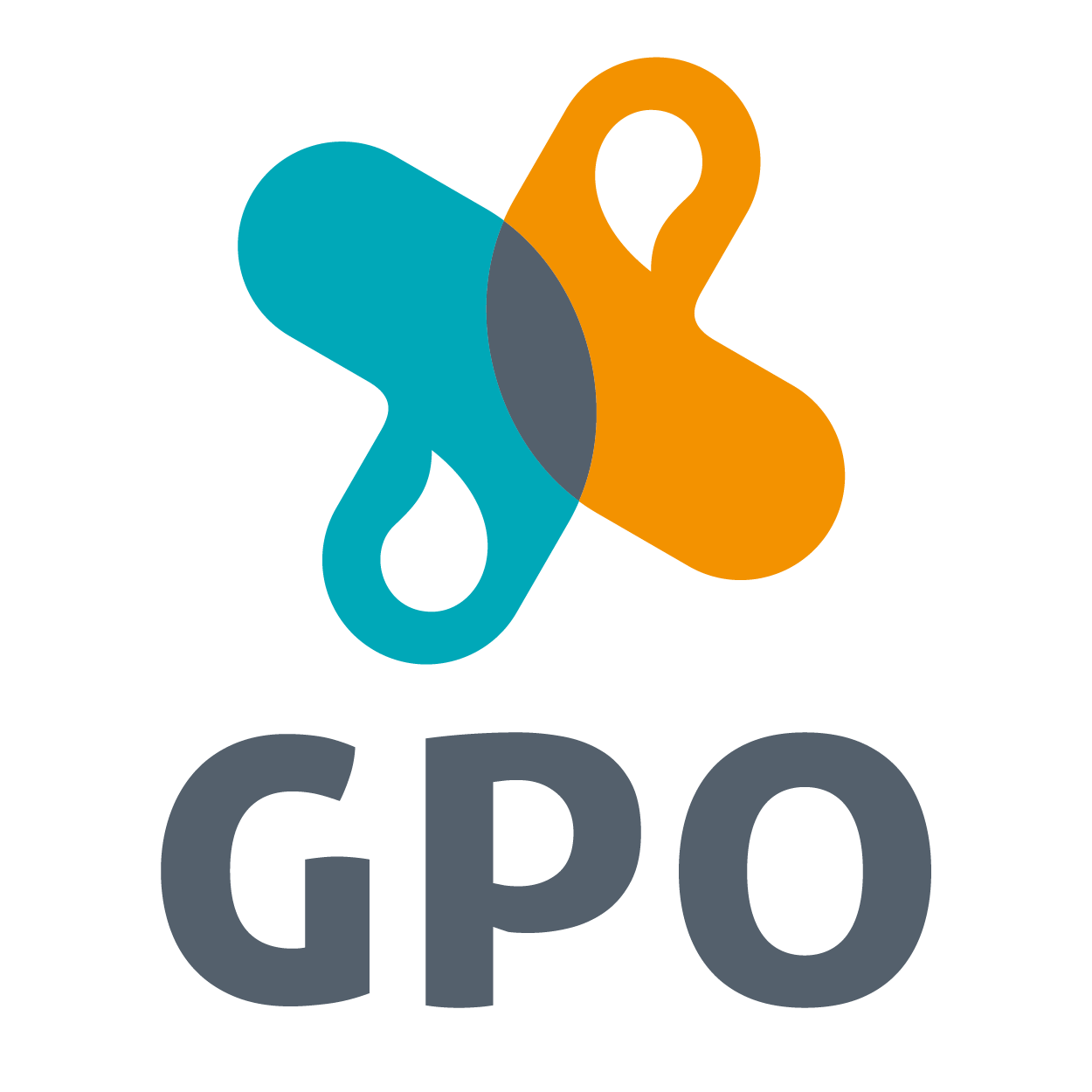 Logo de l'organisation GROUPE PAREDES ORAPI