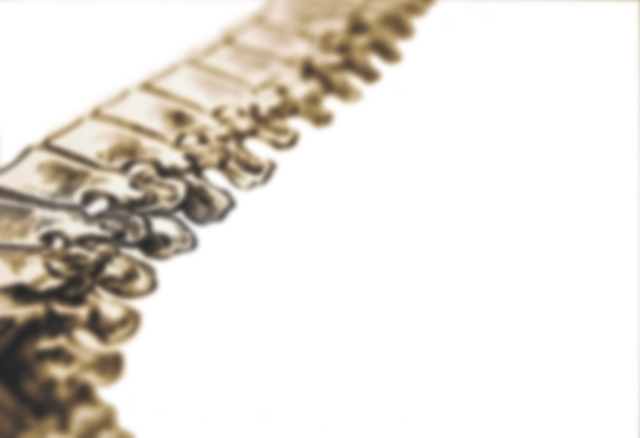 logo de l'organisation Cabinet d'Ostéopathie