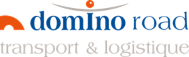 logo de l'organisation DOMINO ROAD INTERIM