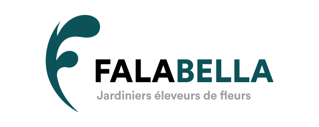 Logo de l'organisation FALABELLA