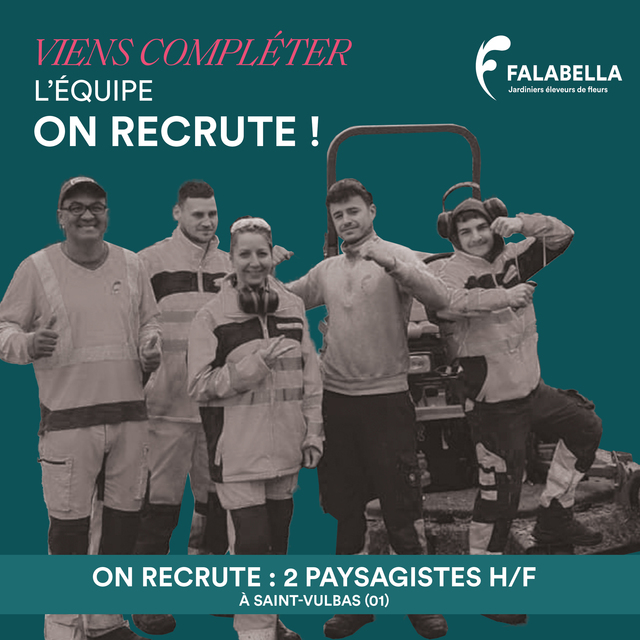 Image de l'offre d'emploi Paysagiste 