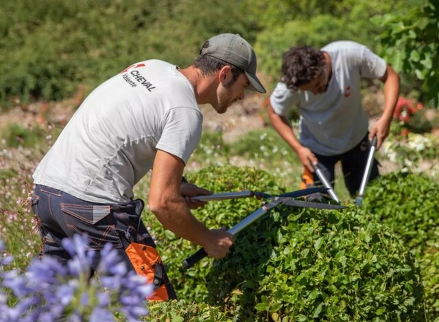 Image de l'offre d'emploi Ouvrier création et aménagement espaces verts 
