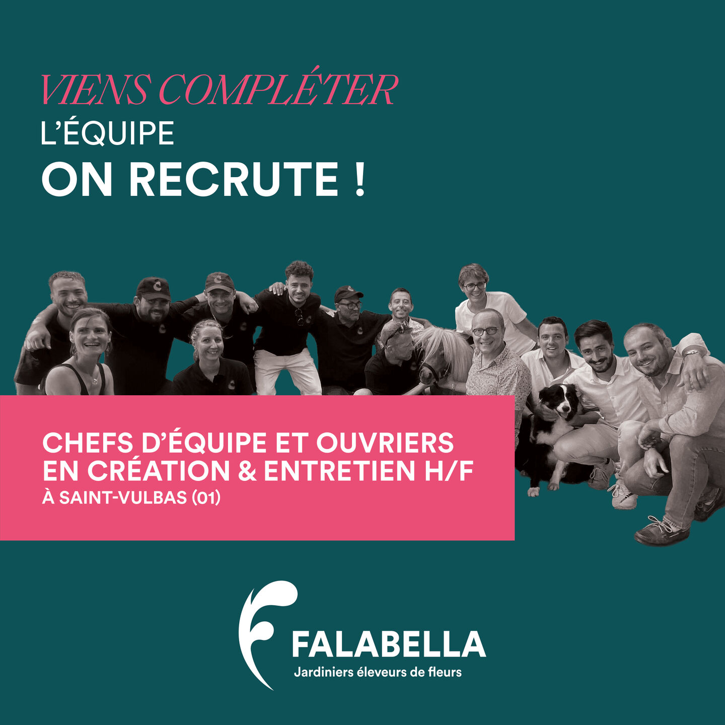 Image de l'offre d'emploi Chefs d'équipe et ouvriers en création et entretien des espaces paysagers 
