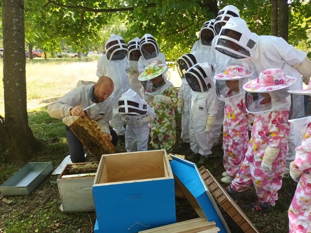 Image de l'événement Récolte du miel sur le PIPA