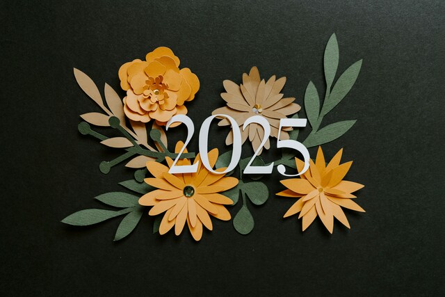Image de l'actualité Belle et heureuse année 2025