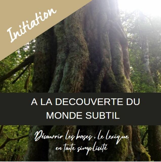 Image de l'actualité "A LA DECOUVERTE DU MONDE SUBTIL"