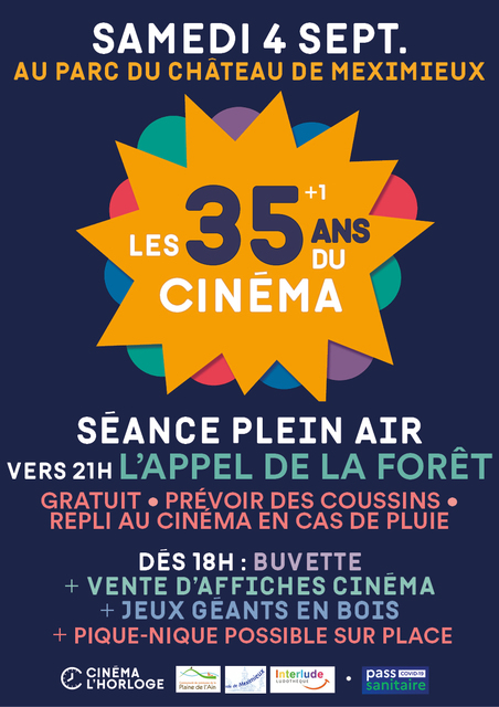 image du post Ciné Plein air