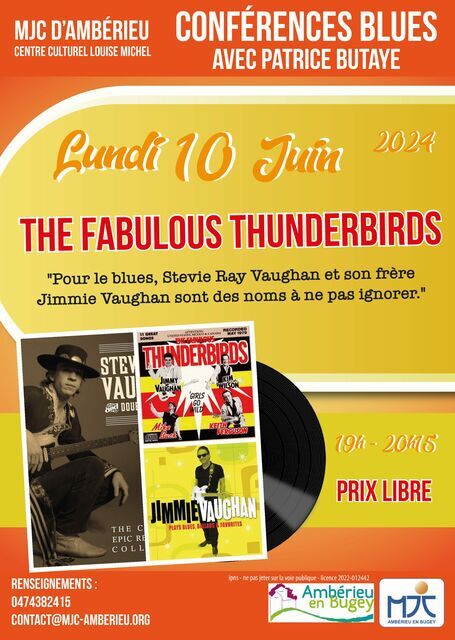 image du post Conférence Blues : The thunderbirds