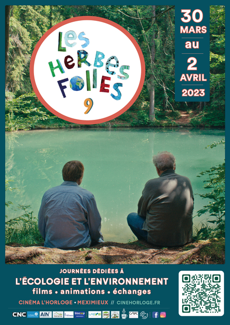 image du post Festival Les Herbes Folles 9