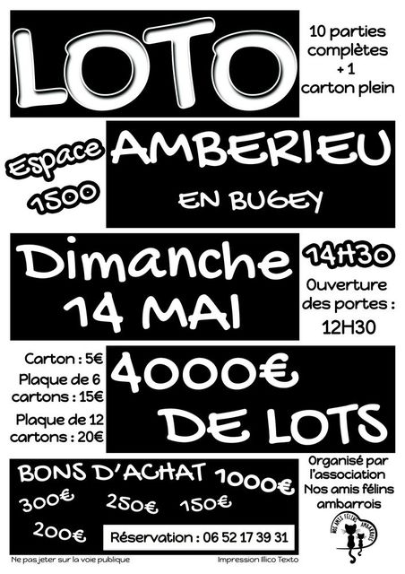 Image de l'événement Loto au profit de l'association "Nos amis félins ambarrois" pour les chats errants et abandonnés