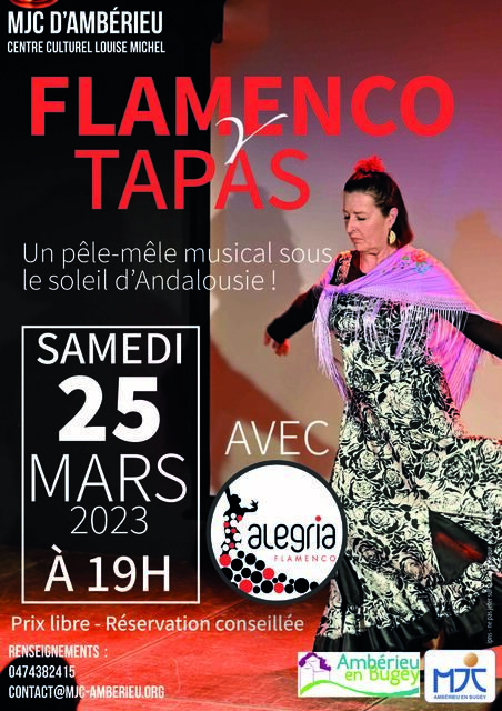 image du post FLAMENCO Y TAPAS