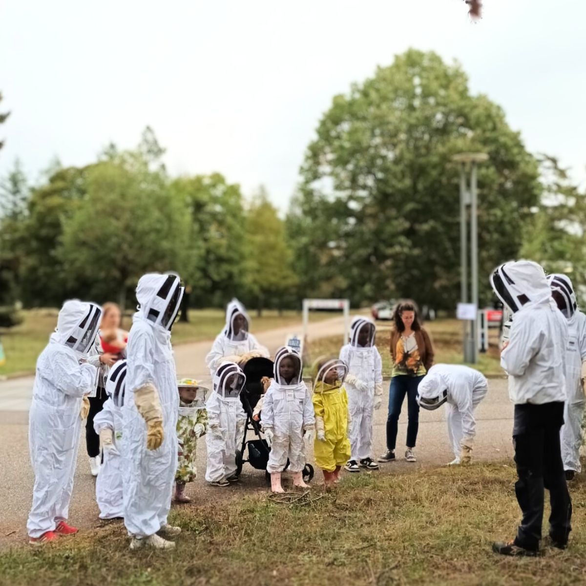 Image de l'événement A la découverte du monde des abeilles sur le PIPA