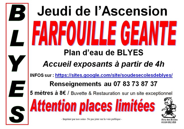 Image de l'événement FARFOUILLE GEANTE