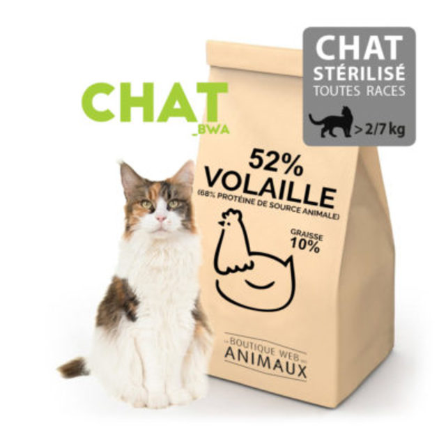 Image de l'actualité PRIVILEGE CLUB  : MIEUX NOURRIR SON ANIMAL DE COMPAGNIE