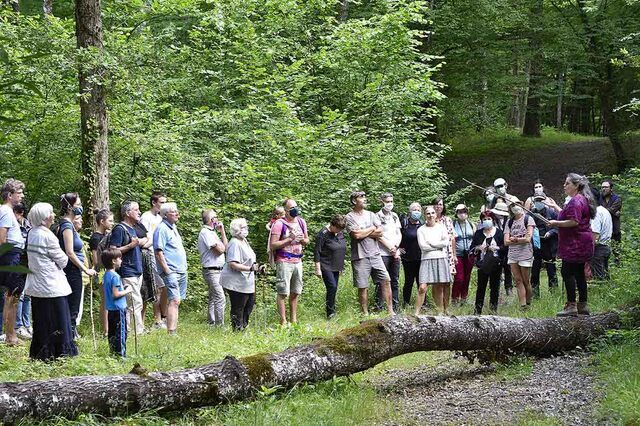 image du post Les balades thématiques de l'Abbaye d'Ambronay