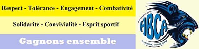 Image de l'actualité Minibus pour un transport sécurisé au Hand Ball Club Ambérieu