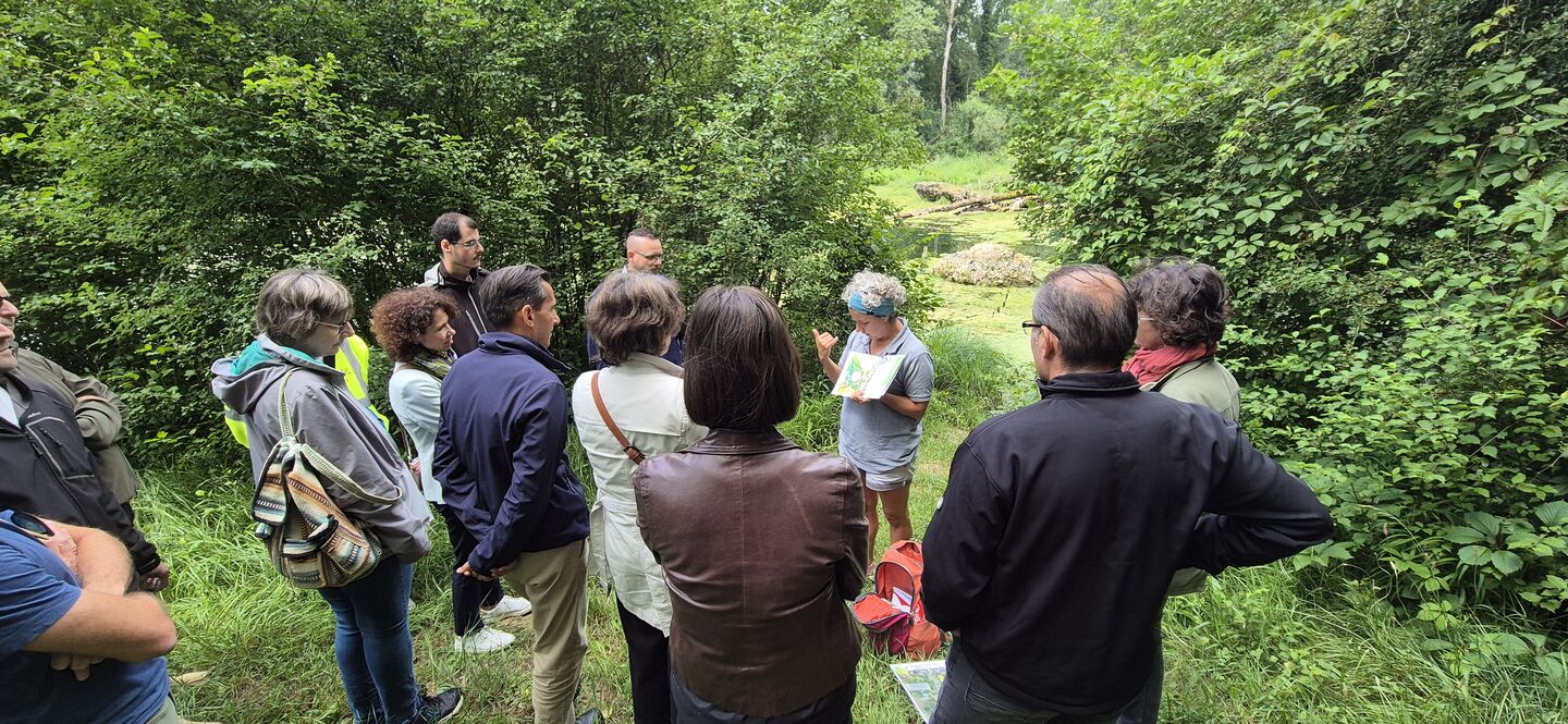 Image de l'actualité Bienvenue voisin #86 : pause nature au cœur de la Plaine de l'Ain
