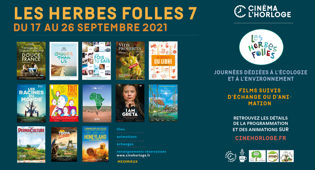 image du post Festival Les Herbes Folles 7