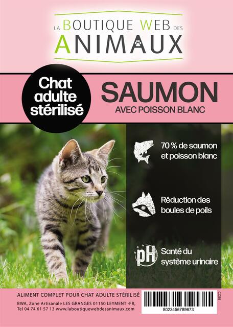 Image de l'actualité Le chat  à l'honneur 💖