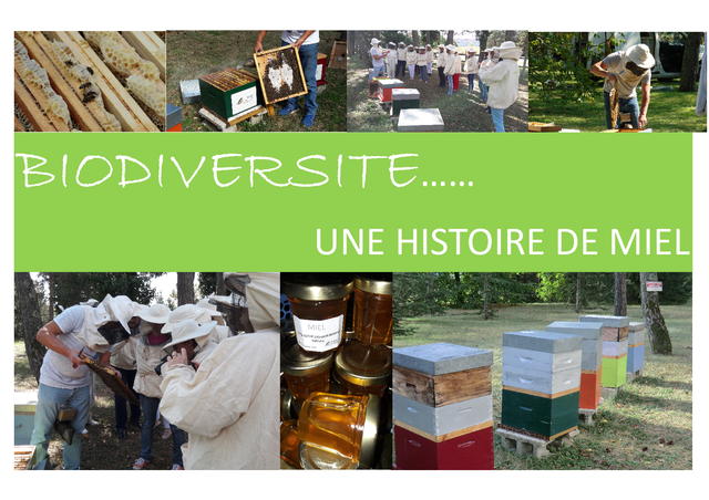 Image de l'actualité LES ABEILLES.... UNE HISTOIRE D'INDUSTRIELS