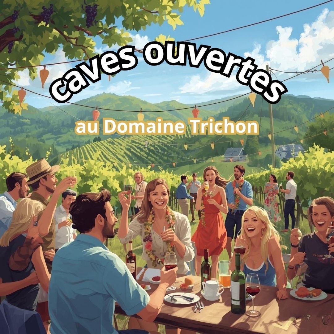 Image de l'actualité Caves ouvertes au Domaine Trichon les1, 2 et 3 mai 2026