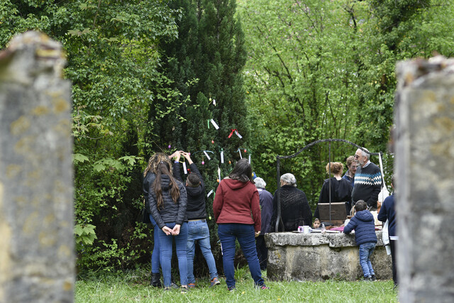 Image de l'événement Grande chasse aux œufs à l'Abbaye