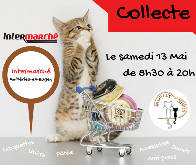 Image de l'événement Collecte de nourriture, matériel et accessoires pour les chats