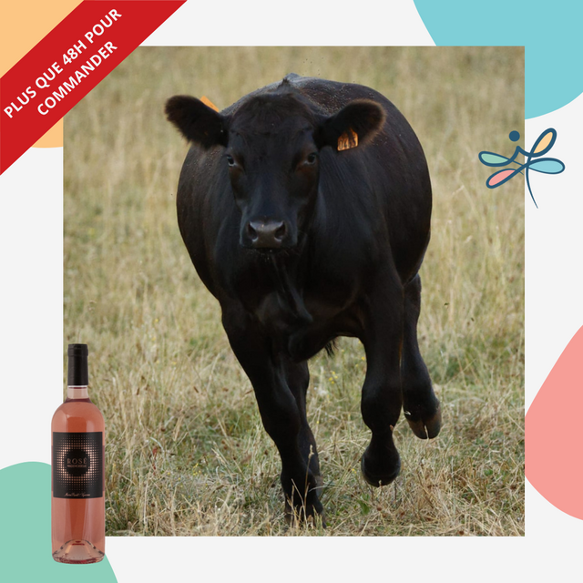 Image de l'actualité 🥩🍷 Votre colis de viande Angus du mois est là… et il a une touche rosée !
