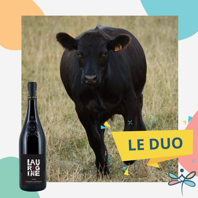 image du post 🥩 Colis de viande Angus : Nouvelle commande du mois ! 🥩