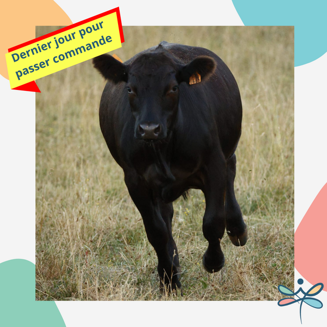 image du post 📢 DERNIERS JOURS POUR COMMANDER 📢