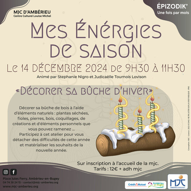 image du post Mes Énergies de Saison - Décorer sa bûche de bois 
