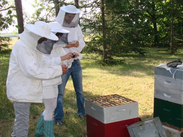 Image de l'événement Rucher interentreprises : A la découverte des abeilles du PIPA …