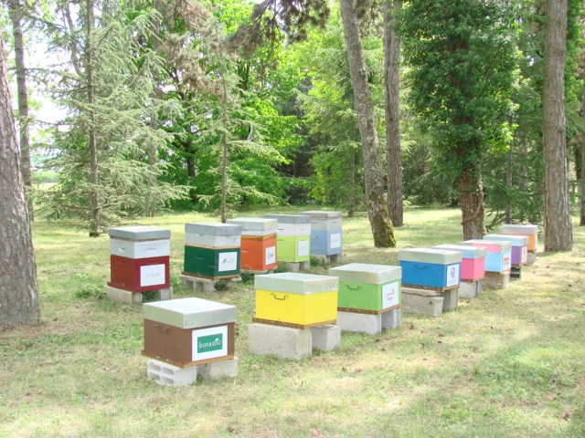 Image de l'actualité Rucher inter entreprises du parc : Rejoignez nous!