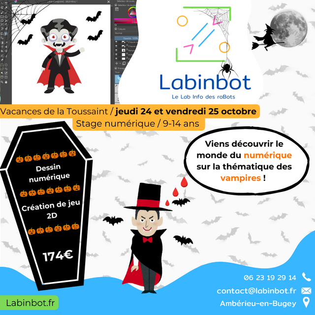 image du post Stage "Codage jeu 2D / Dessin numérique" 9-14 ans