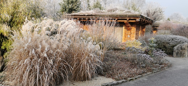 Image de l'actualité Les Chalets de Maramour vous souhaitent une très belle année 2021
