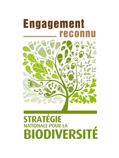 Image de l'actualité Speichim Processing et Trédi : acteurs de la préservation de la Biodiversité