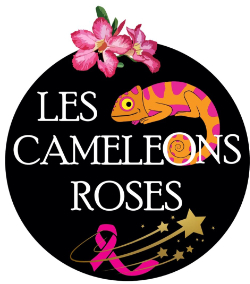 Logo_CAMELEONS_jpg_plus_petit