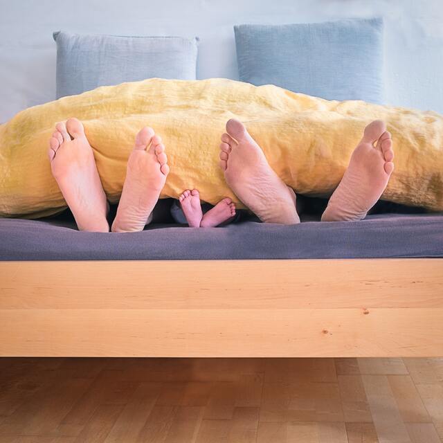 Image de l'actualité Ouverture du cabinet durant les vacances de la Toussaint 
