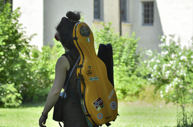 image du post L'Abbaye & ses plantes médicinales