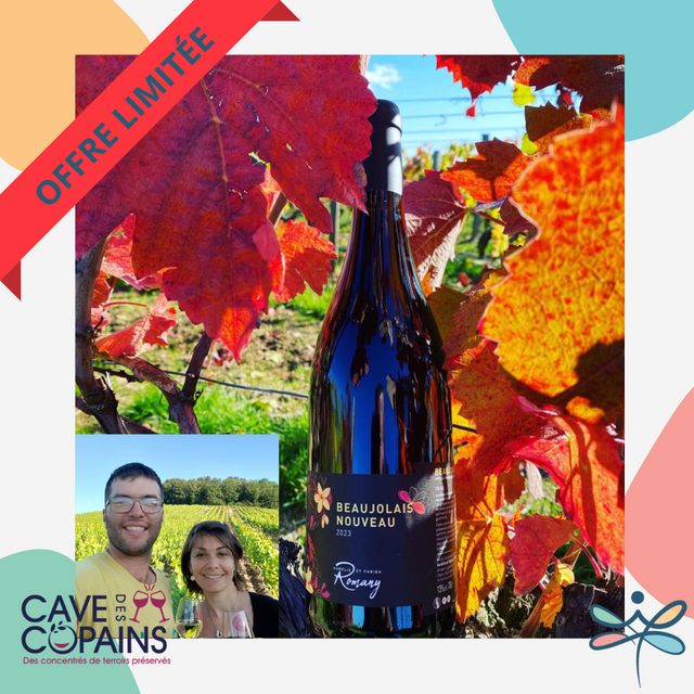 image du post 🍇 Réservez (enfin) un bon Beaujolais Nouveau !🍷